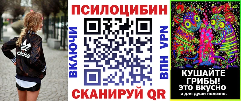 Псилоцибиновые грибы GOLDEN TEACHER Карачаевск