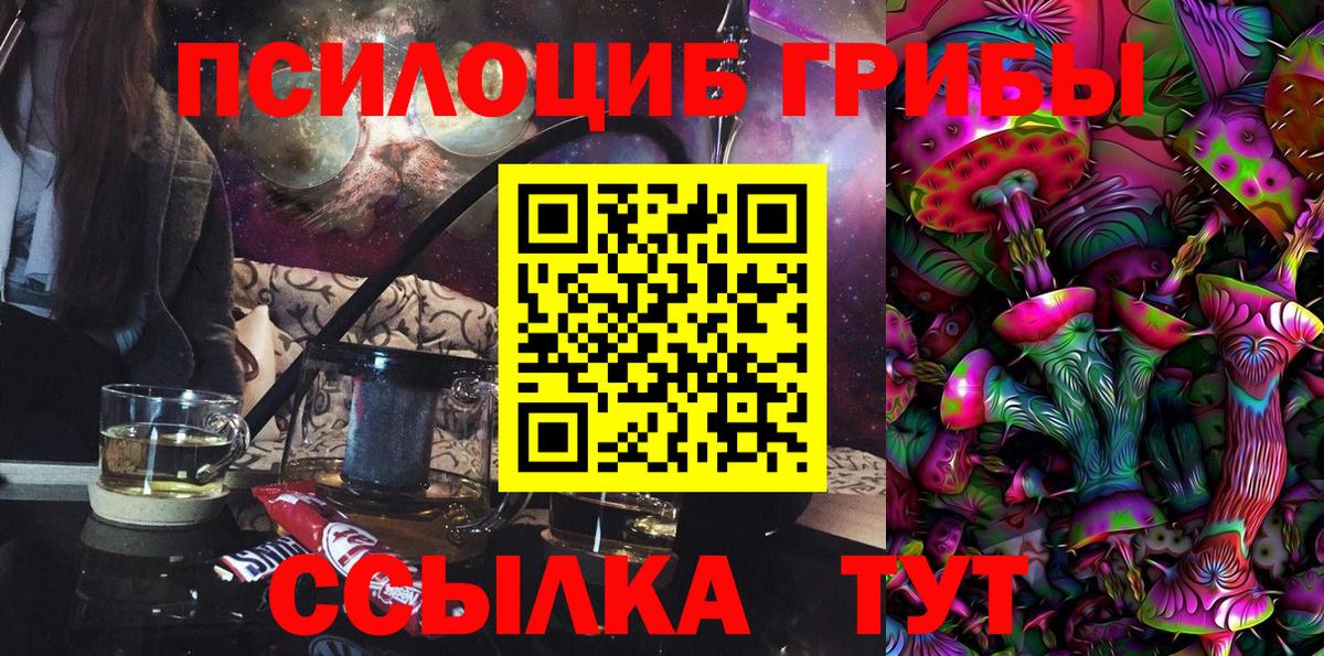 Карачаевск  Псилоцибиновые грибы Cubensis  Вход с VPN  Галлюциногенные грибы Psilocybine cubensis 