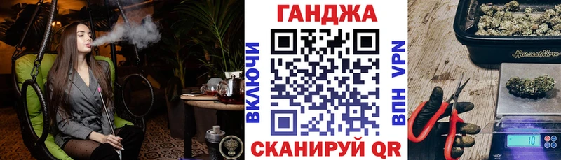 Канабис сатива  Карачаевск 