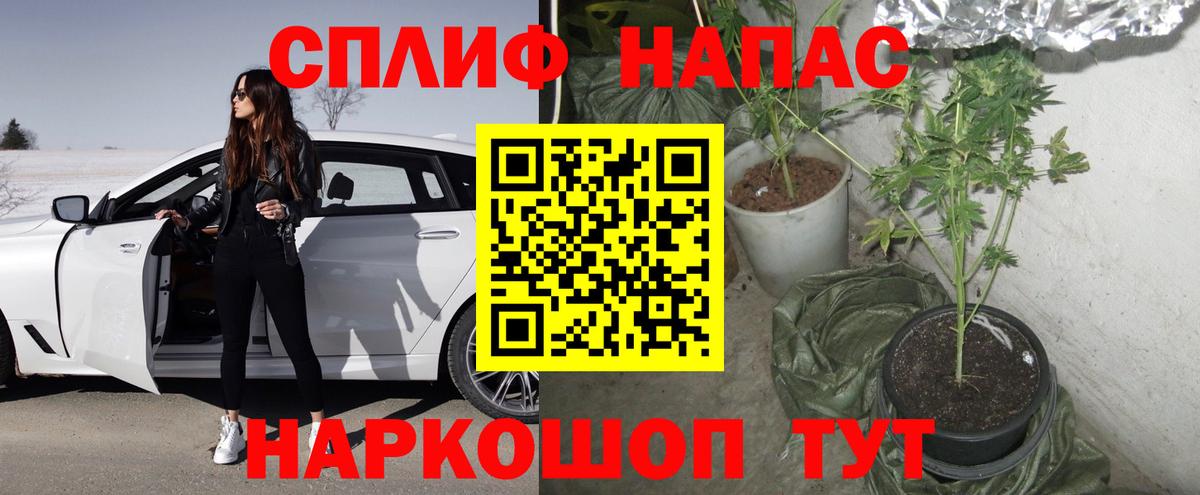 МАРИХУАНА планчик  Вход с VPN  Марихуана семена  Марихуана Bruce Banner  Каннабис семена  Карачаевск 
